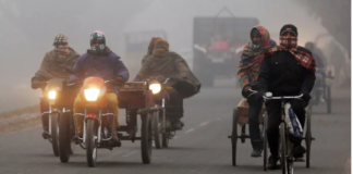 Weather Update: दिल्ली-NCR में शीतलहर और कोहरे का कहर, कई फ्लाइट और ट्रेनें रद्द, देश के कई  राज्यों में बारिश का अलर्ट
