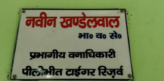 पीलीभीत: टाइगर रिजर्व से फिर निकली बाघिन, किसानों में दहशत का माहौल