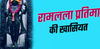रामलला की मूर्ति में विष्णु के 10 अवतार, हनुमान और गरुड़ की विशेषताएं:बारीकी से देखें और समझें 