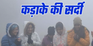 Weather Update News: यूपी में भीषण ठंड, इन जिलों में सीवियर कोल्ड का अलर्ट जारी,