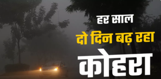 कोहरे की वजह से बढ़ते हैं 30 फीसद प्रदूषित कण, दुर्घटना में गई 15,000 की जान