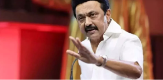 Tamil Nadu Politics:  उदयनिधि बनेंगे तमिलनाडु के डिप्टी सीएम मुख्यमंत्री स्टालिन ने  जवाब दिया