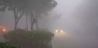 Bihar Weekly Weather: दो दिन नहीं सताएगी ठंड, जिले में 5 दिन बाद पारा गिरने से छुटेगी कंपकंपी