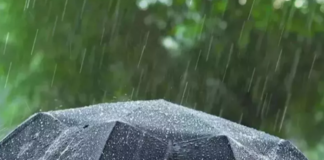 Uttar Pradesh Weather Update: यूपी में बदल गया मौसम का मिजाज, अगले दो घंटे में मथुरा सहित कई  इलाकों में  बारिश होगी