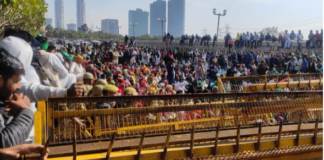 नोएडा में धरनारत 746 किसानों पर मुकदमा, राष्ट्रीय ध्वज का अपमान; पुलिस पर जानलेवा हमला समेत 18 धाराओं में FIR दर्ज
