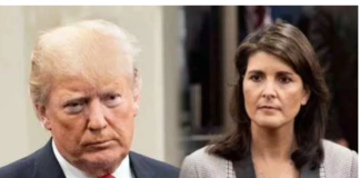 US Presidential Election: चुनावी रेस में निक्की हेली से आगे डोनाल्ड ट्रंप, नामांकन के एक कदम और करीब पहुंचे पूर्व राष्ट्रपति
