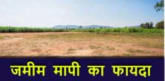Bihar Jamin Mapi: जमीन मापी के लिए इस तारीख से चलेगा अभियान, बाट जोह रहे लोगों के होठों पर खिलेगी मुस्कान