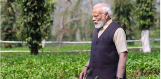 Modi Assam Visit: ‘असम की चाय दुनिया भर में प्रसिद्ध’, पीएम मोदी ने हरे-भरे टी गार्डन का लुत्फ उठाया