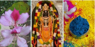 Ayodhya  Holi 2024: कचनार के फूलों से बने गुलाल से होली खेलेंगे रामलला, त्रेतायुग में अयोध्या का राज्य वृक्ष था ये खास पेड़