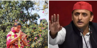 Lok Sabha Election: ‘एनडीए से ऑफर आया तो करेंगे विचार’, सपा से गठबंधन टूटने पर बोलीं पल्लवी पटेल
