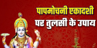 Papmochani Ekadashi 2024: पापमोचनी एकादशी पर करें तुलसी से जुड़े ये उपाय, साल भर बरसेगी श्री हरि की कृपा
