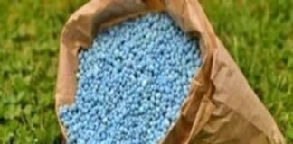 भारत में उर्वरकों का पर्याप्त स्टॉक: सरकार