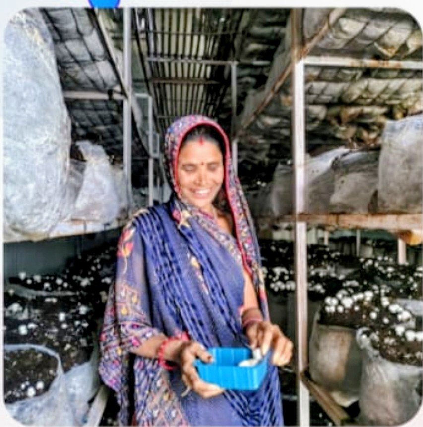 WhatsApp Image 2026 04 15 at 08.49.32