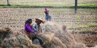 देश में कार्यबल का औपचारिकरण बढ़ाना और सामाजिक सुरक्षा कवरेज का विस्तार आवश्यक है: एसबीआई रिपोर्ट