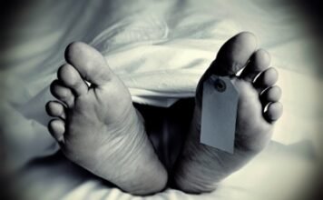 ग्रेटर नोएडा के गर्ल्स हॉस्टल में युवती ने लगाई छलांग, अस्पताल में मौत, पारिवारिक विवाद की आशंका 1781356433 2d4638b6116433d3c537d0c637380c3b