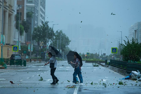 202606023810869