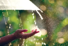 UP : खरीफ खेती पर संकट, कृषि विभाग की एडवाइजरी जारी, 31 जुलाई तक कराएं फसल बीमा