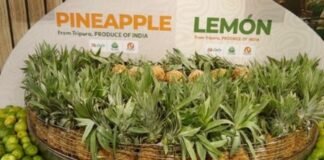 त्रिपुरा के ऑर्गेनिक एक्सपोर्ट को दुबई में मिली जबरदस्त प्रतिक्रिया : कृषि मंत्री