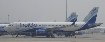indigo flight