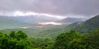 तमिलनाडु के पश्चिमी जिलों में 6 अगस्त तक भारी बारिश और तेज हवाएं चलने की संभावना