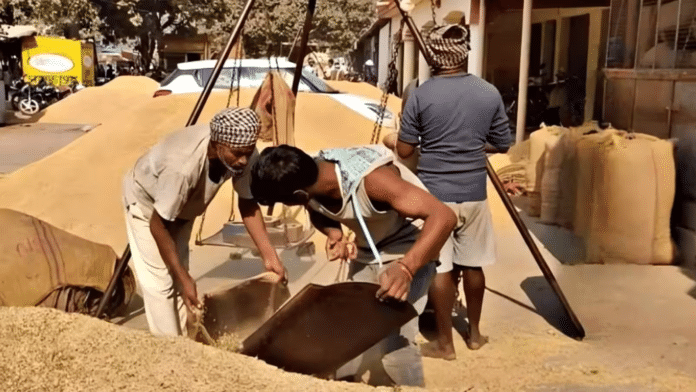पूर्वी उत्तर प्रदेश, लखनऊ- रायबरेली व उन्नाव में पहली नवंबर से होगी धान खरीद