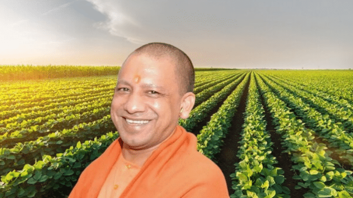 योगी सरकार का खेती को लाभकारी बनाने पर जोर, 8 जिलों के 11 गांवों में चकबंदी प्रक्रिया पूरी